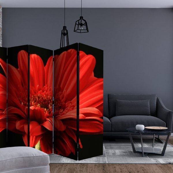 Paraván – Red gerbera flower II [Room Dividers] Paraván – Red gerbera flower II [Room Dividers]