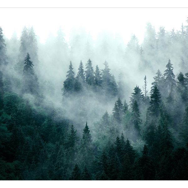 Samolepící fototapeta – Mountain Forest (Dark Green) Samolepící fototapeta – Mountain Forest (Dark Green)