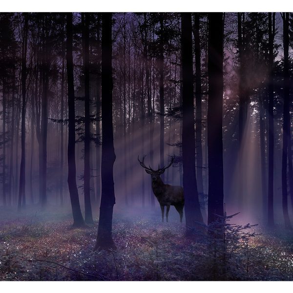 Samolepící fototapeta – Mystical Forest – Second Variant Samolepící fototapeta – Mystical Forest – Second Variant