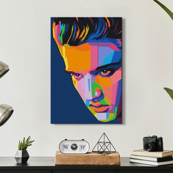 Malování podle čísel – Colourful Elvis Malování podle čísel – Colourful Elvis