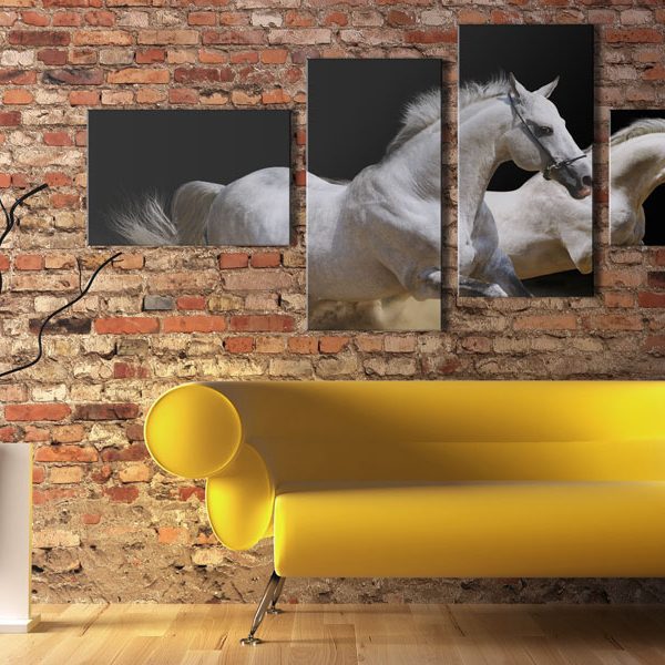 Obraz – Svět zvířat – bílí koně v trysku Obraz – Svět zvířat – bílí koně v trysku
