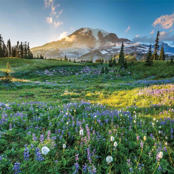 Tapeta Národní park Mount Rainier Tapeta Národní park Mount Rainier