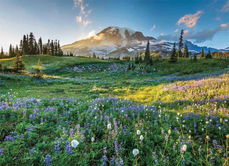 Tapeta Národní park Mount Rainier Tapeta Národní park Mount Rainier