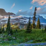 Tapeta Národní park Mount Rainier Tapeta Národní park Mount Rainier