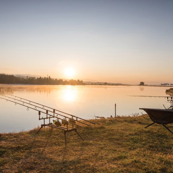 Tapeta Pruty na břehu Tapeta Pruty na břehu