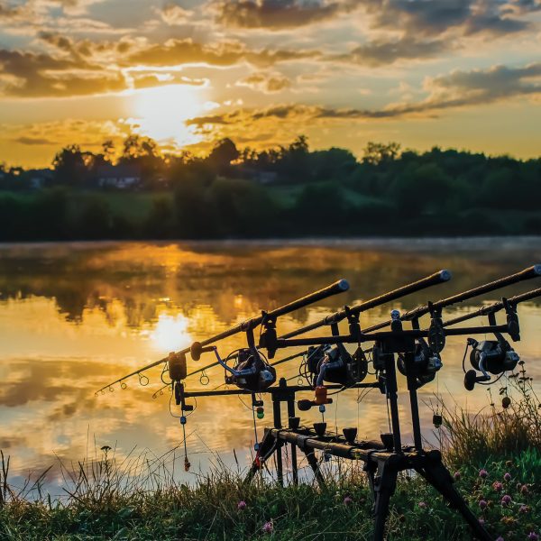 Tapeta Pruty při západu slunce Tapeta Pruty při západu slunce