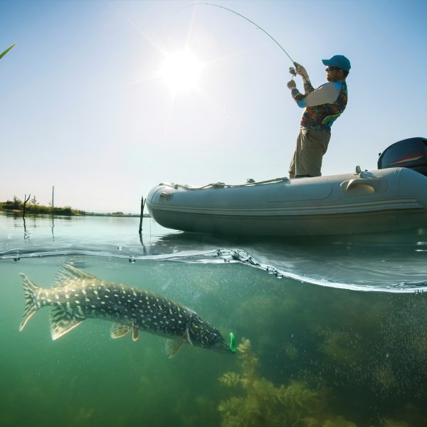 Tapeta Rybář na člunu zdolává štiku Tapeta Rybář na člunu zdolává štiku