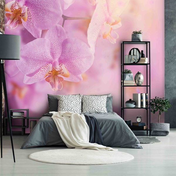 Tapeta Orchidej něžná Tapeta Orchidej něžná