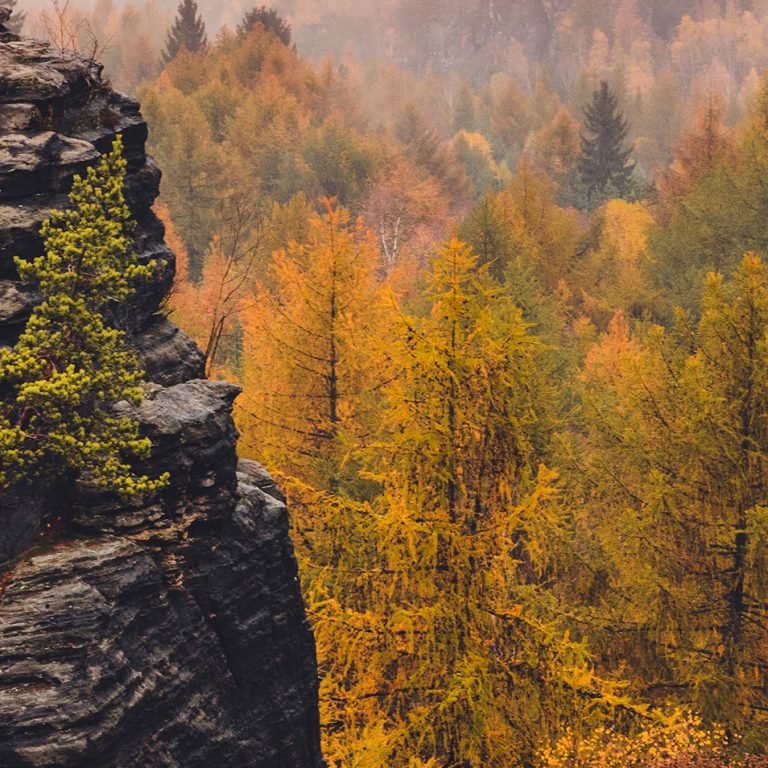 Tapeta Prachovské skály Tapeta Prachovské skály