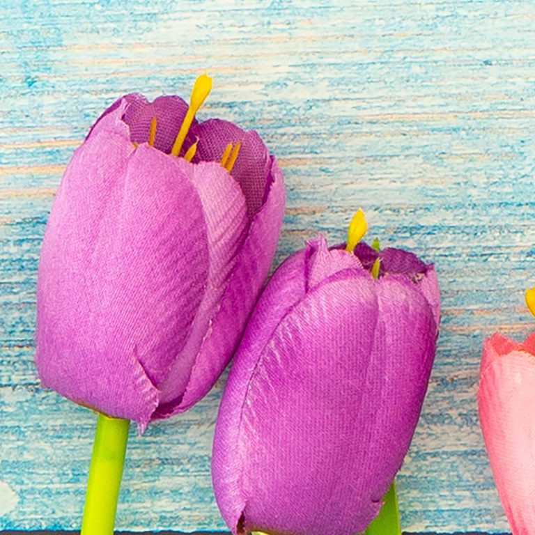 Tapeta Tulipány a azurové dřevo Tapeta Tulipány a azurové dřevo